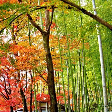 Kyoto Yadomachi Nishijin Apartment Екстериор снимка